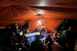 Bắt quả tang nhóm đối tượng đánh bạc giữa rừng cao su ở Lâm Đồng