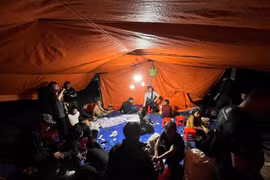 Bắt quả tang nhóm đối tượng đánh bạc giữa rừng cao su ở Lâm Đồng