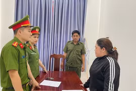 Nữ giám đốc doanh nghiệp bị khởi tố về hành vi trốn thuế