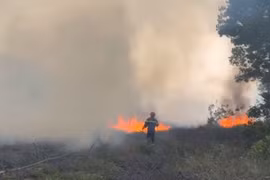 Gần 400 người tham gia chữa cháy rừng ở Huế