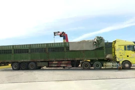 Chở vượt tải trọng, chủ và tài xế xe tải bị phạt 333 triệu đồng