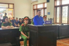 Tài xế gây tai nạn làm 2 bà cháu tử vong lĩnh 36 tháng tù