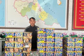 Bắt đối tượng mua bán trái phép hơn 70 kg pháo ở Hà Tĩnh