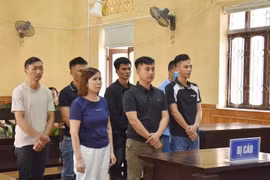 Lĩnh án tù vì tổ chức cho người nước ngoài ở lại Việt Nam trái phép