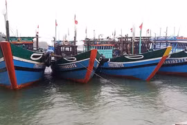 Quảng Bình kêu gọi tất cả tàu thuyền vào bờ trú tránh bão