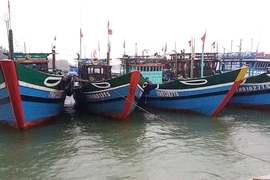 Quảng Bình kêu gọi tất cả tàu thuyền vào bờ trú tránh bão