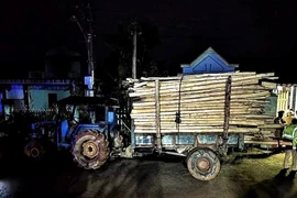 Hai chị em tử vong trên đường đi học về ở Huế