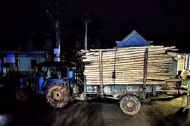 Hai chị em tử vong trên đường đi học về ở Huế