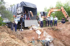 Quảng Trị tiêu huỷ lượng lớn thực phẩm nhập lậu
