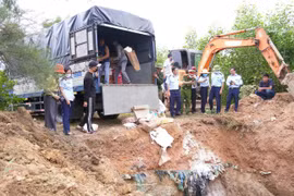 Quảng Trị tiêu huỷ lượng lớn thực phẩm nhập lậu