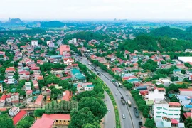 Tam Điệp đấu giá 73 lô đất, khởi điểm từ 8,3 triệu/m2