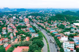 Tam Điệp đấu giá 73 lô đất, khởi điểm từ 8,3 triệu/m2