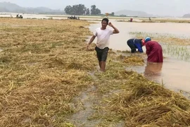 Mưa lũ bất thường gây thiệt hại lớn ở Hà Tĩnh