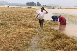 Mưa lũ bất thường gây thiệt hại lớn ở Hà Tĩnh