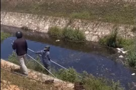 Cá chết nổi trắng mặt kênh ở khu công nghiệp Phong Điền