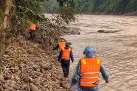 Nỗ lực tìm kiếm tài xế xe đầu kéo bị lũ cuốn mất tích ở Quảng Trị