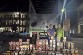 Bắt đối tượng vận chuyển trái phép 239 hộp pháo hoa nổ