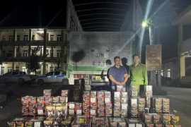 Bắt đối tượng vận chuyển trái phép 239 hộp pháo hoa nổ