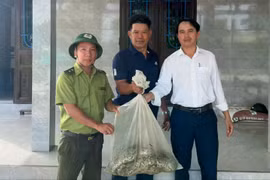 Trăn gấm quý hiếm nặng 12kg bò vào nhà dân bắt gà