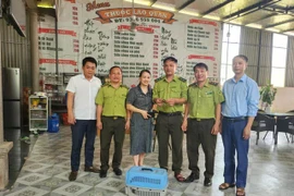 Người dân Hà Tĩnh giao nộp cá thể rùa vàng quý hiếm