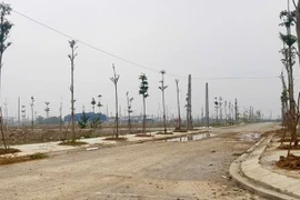 Ninh Bình sắp đấu 20 lô đất, khởi điểm 3 triệu đồng/m2