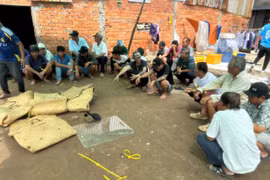 Triệt phá 2 tụ điểm đá gà ăn tiền, bắt giữ 28 đối tượng