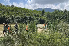Tìm thấy người đàn ông mất tích khi đi chăn bò ở Quảng Trị