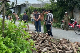 Bắt khẩn cấp 2 đối tượng chém người ở Đồng Tháp