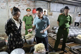 Hãi hùng cơ sở dùng chất cấm sản xuất giá đỗ ở Hà Tĩnh