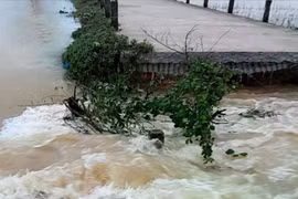 Lũ cuốn trôi 7m đường đê ở TP Huế