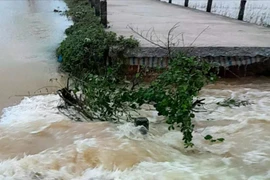 Lũ cuốn trôi 7m đường đê ở TP Huế