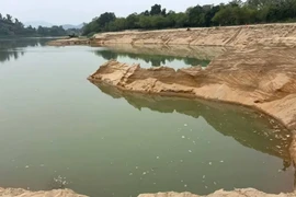 Một doanh nghiệp khai thác cát ở Nghệ An bị phạt 249 triệu