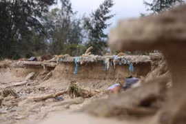 Đê biển ở Hà Tĩnh sạt lở nghiêm trọng sau bão số 5