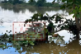 Thi thể người phụ nữ mắc trên cành cây giữa ruộng