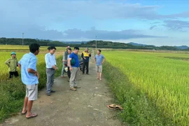 Cụ bà ở Hà Tĩnh bị sét đánh tử vong giữa đồng