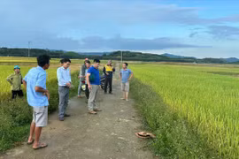 Cụ bà ở Hà Tĩnh bị sét đánh tử vong giữa đồng