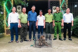 Người dân ở Hà Tĩnh giao nộp cá thể khỉ đuôi lợn quý hiếm