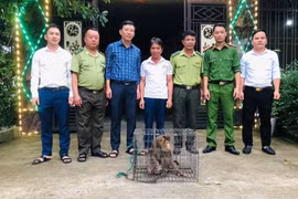 Người dân ở Hà Tĩnh giao nộp cá thể khỉ đuôi lợn quý hiếm