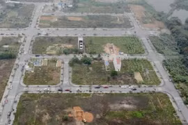 Phú Thọ chuẩn bị đấu giá 15 thửa đất, khởi điểm từ 8 triệu đồng/m2