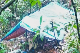 Điều tra vụ người đàn ông tử vong trong rừng sâu ở Lâm Đồng