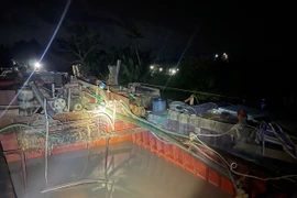 Bắt giữ 4 phương tiện tàng trữ cát trái phép ở Vĩnh Long
