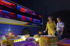 Bắt giữ 240 kg chả mực đông lạnh không rõ nguồn gốc xuất xứ