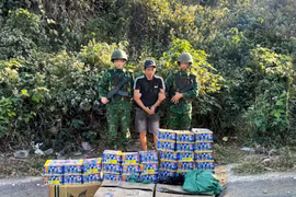 Bắt giữ tài xế vận chuyển trái phép pháo hoa nổ ở Quảng Trị