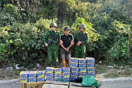 Bắt giữ tài xế vận chuyển trái phép pháo hoa nổ ở Quảng Trị