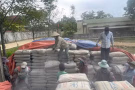 Khẩn trương rà soát xi măng hỗ trợ xây dựng nông thôn mới