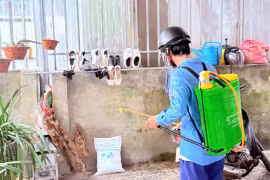 Xuất hiện ổ dịch sốt xuất huyết Dengue ở Hà Tĩnh