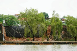 Mưa lũ làm sập 15m tường Hoàng thành Huế