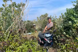 Bắt đối tượng trộm xe máy rồi "gạ" chủ nhân chuộc lại