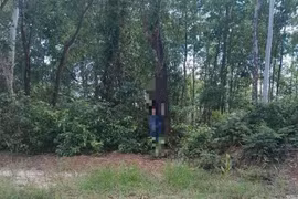 Phát hiện người đàn ông tử vong trong rừng tràm ở Quảng Trị