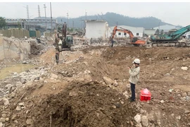 Vi phạm môi trường, người đàn ông bị phạt 300 triệu đồng